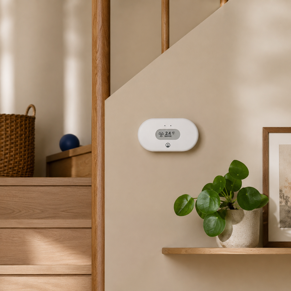 View Radon monitoring air quality in a home